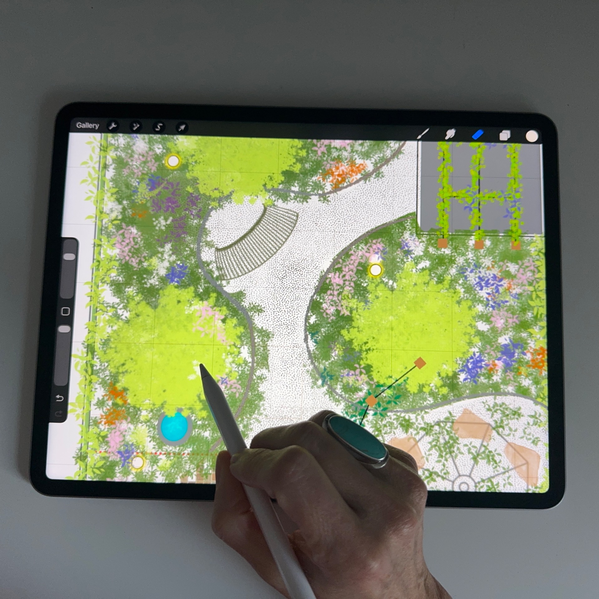 Concept design development for a garden design in County Cork