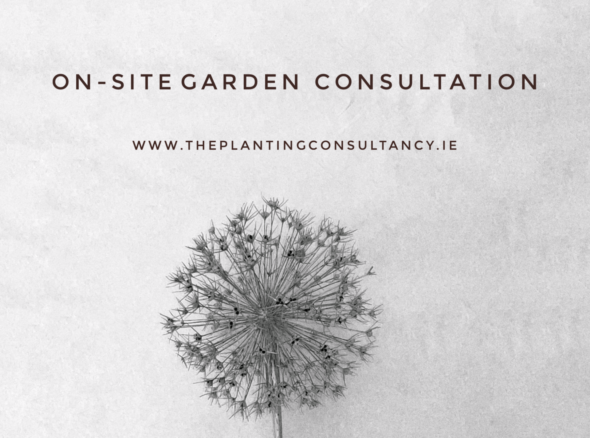 Onsite Garden Consultation
