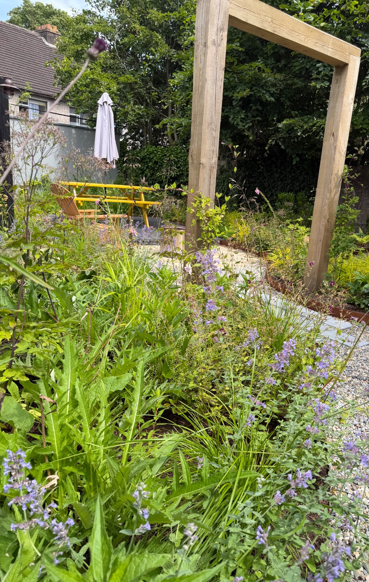 Lush garden with purple flowers, gravel path, and a wooden pergola frame in the foreground, grey wall in the background.